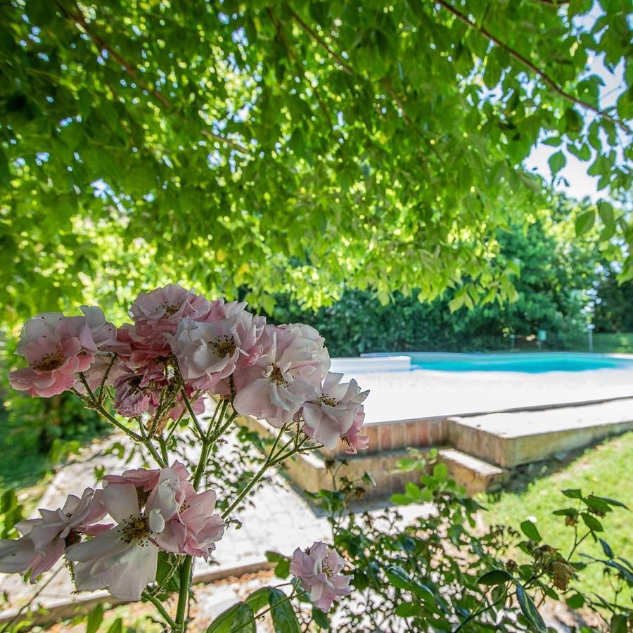 Borgo Del Nibbio Daire Porto Levante Dış mekan fotoğraf