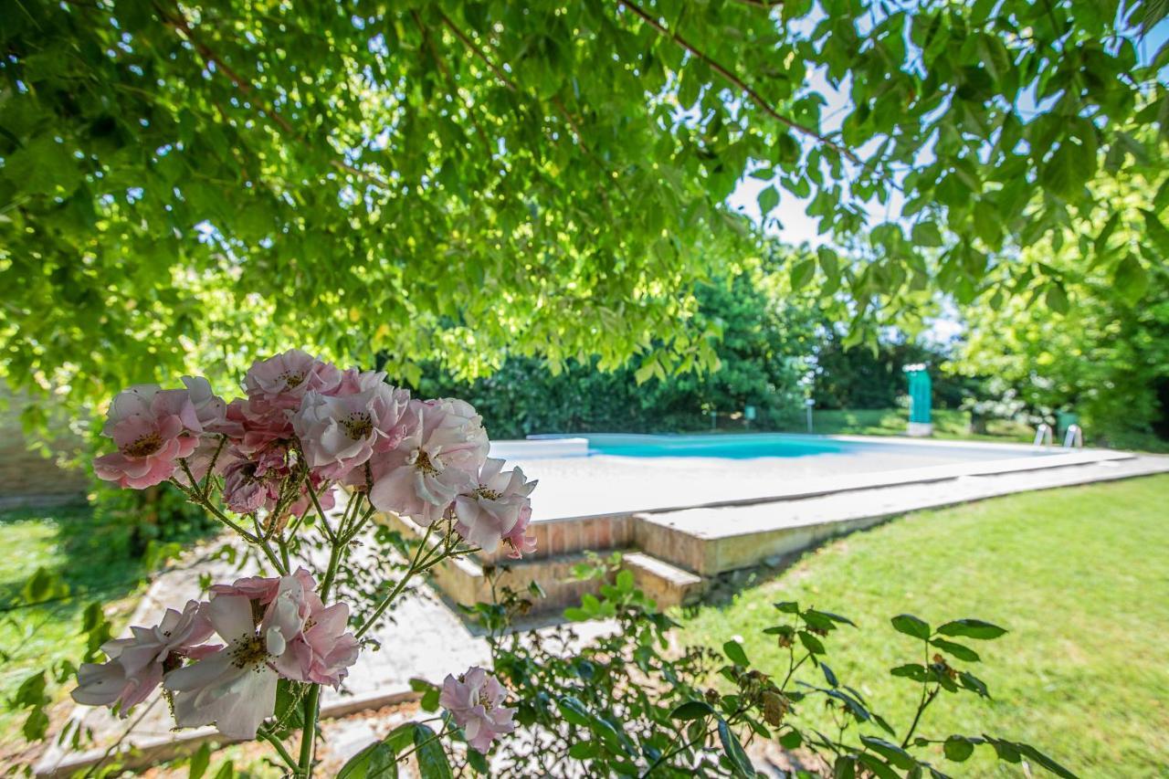 Borgo Del Nibbio Daire Porto Levante Dış mekan fotoğraf